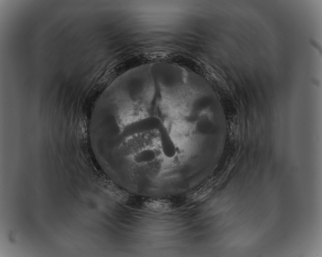 X0000091510561200709070956