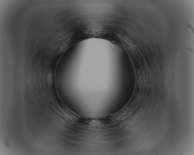 X0000091510562200709070956