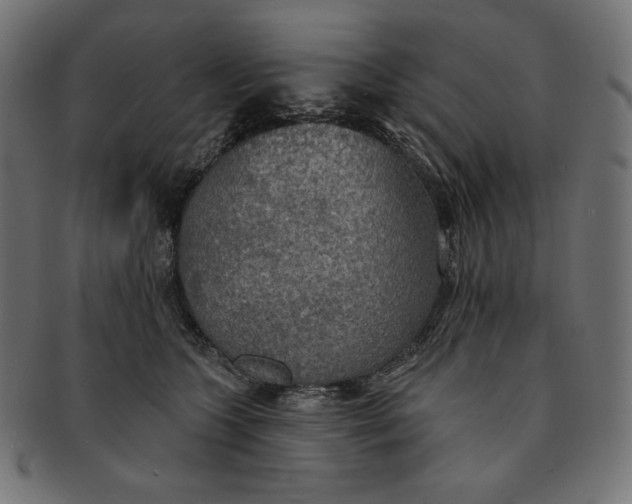 X0000091510563200709070956