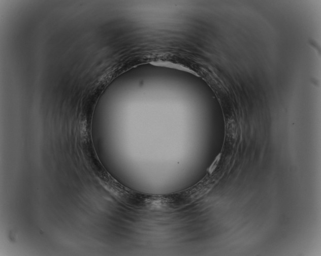 X0000091510564200709070956