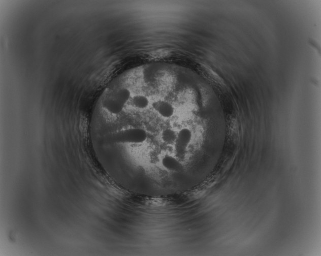 X0000091510565200709070956