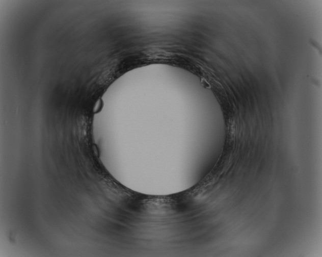 X0000091510567200709070956