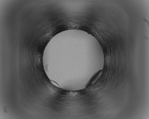 X0000091510570200709070956