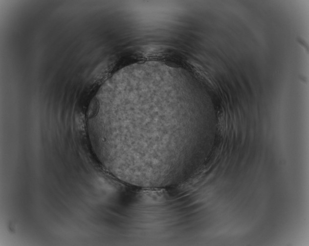 X0000091510571200709070956