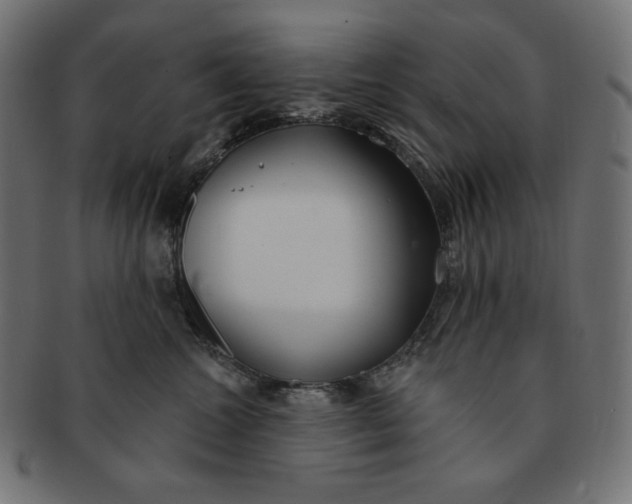 X0000091510572200709070956