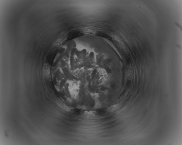 X0000091510573200709070956