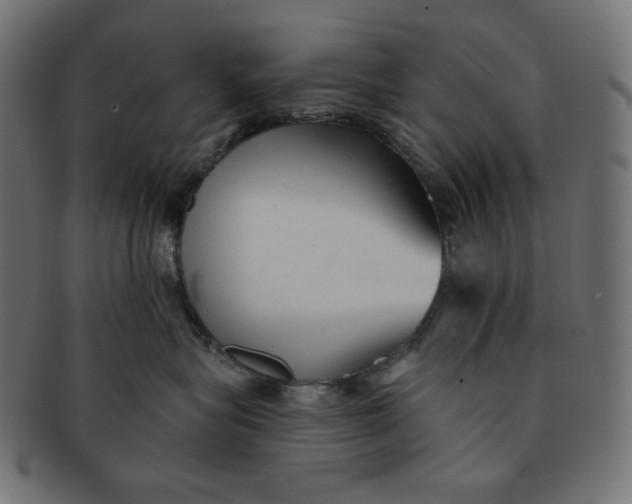 X0000091510575200709070956