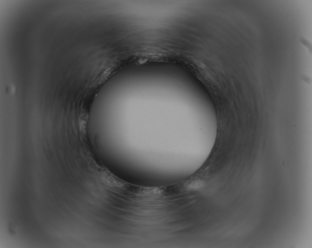 X0000091510576200709070956