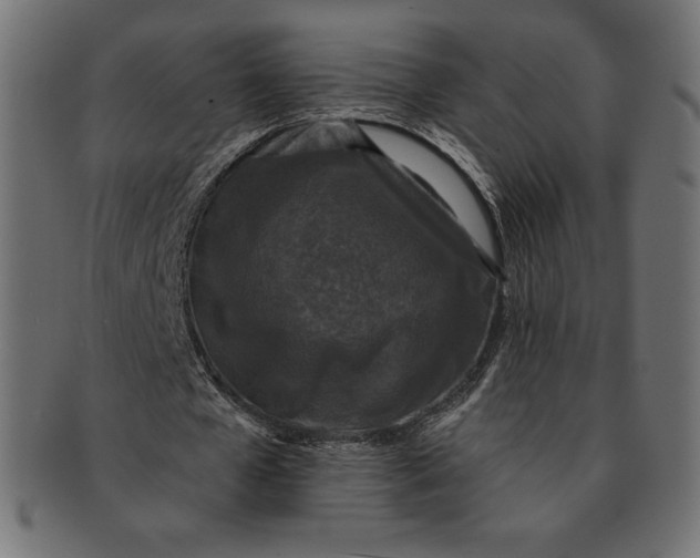 X0000091510577200709070956