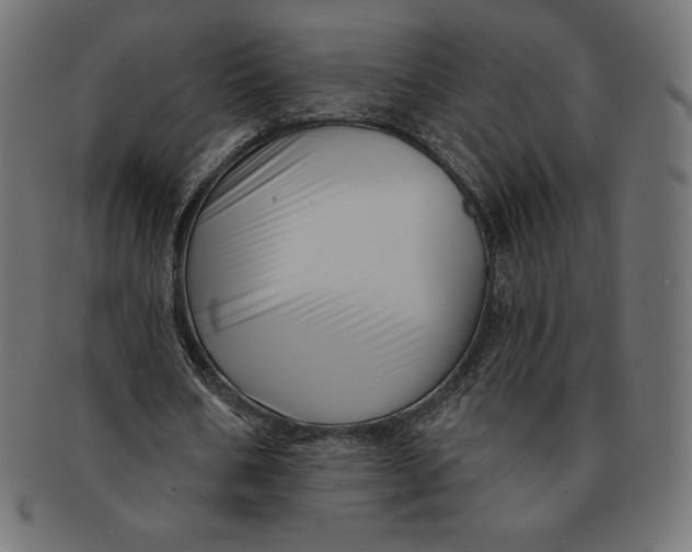 X0000091510578200709070956