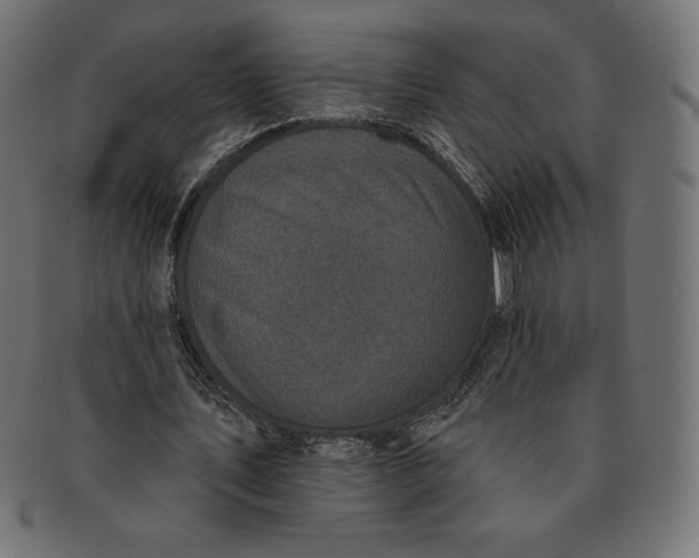 X0000091510579200709070956