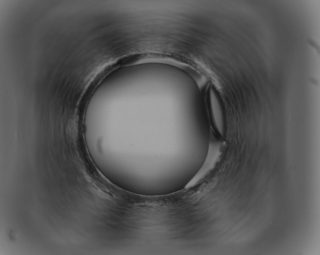 X0000091510580200709070955