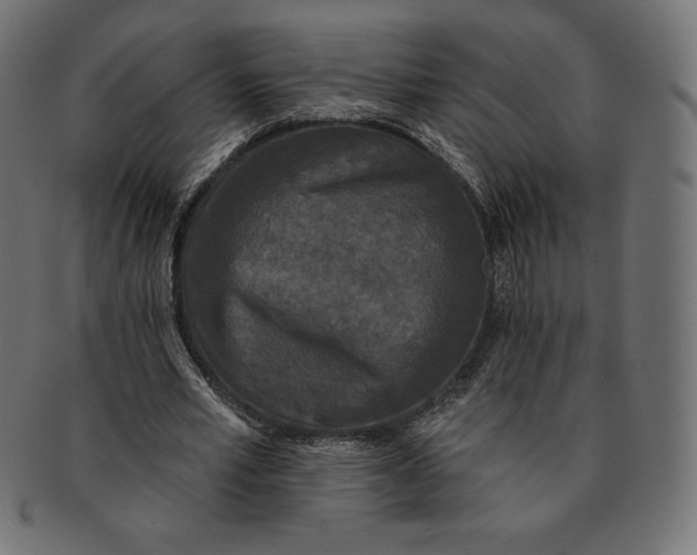 X0000091510581200709070955