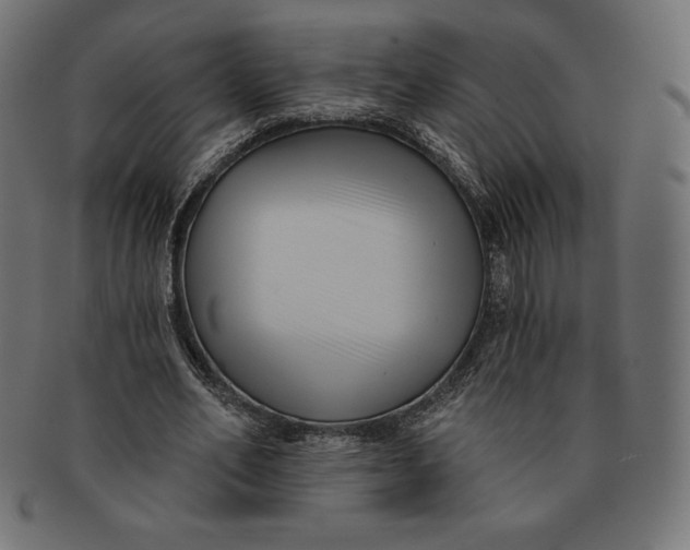 X0000091510582200709070955