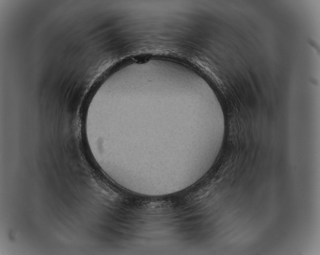 X0000091510584200709070955