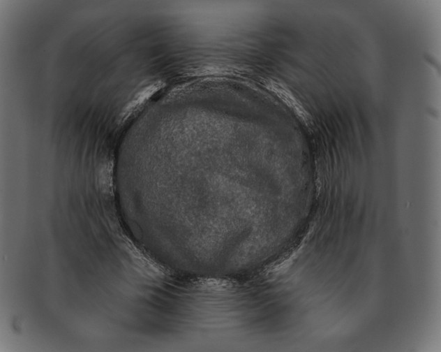 X0000091510585200709070955