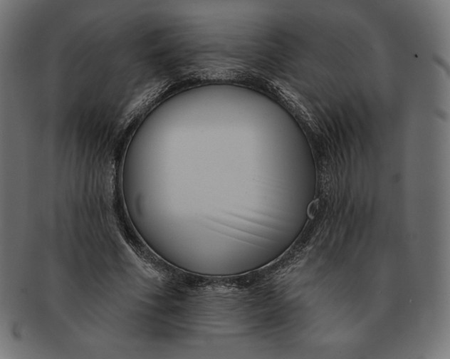 X0000091510586200709070955