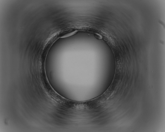 X0000091510587200709070955