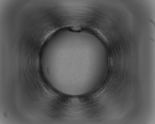 X0000091510588200709070955