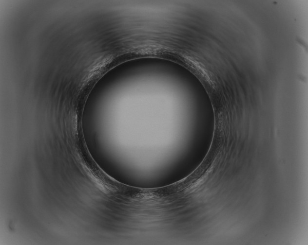 X0000091510589200709070955