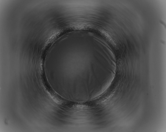 X0000091510590200709070955