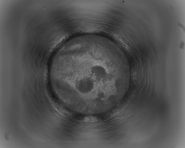 X0000091510591200709070955