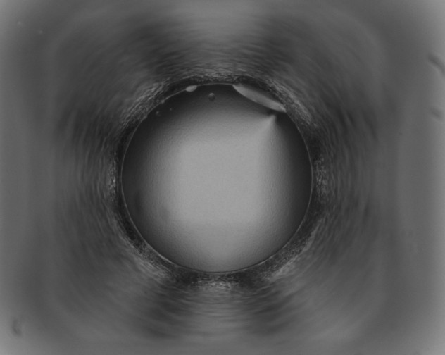 X0000091510593200709070955