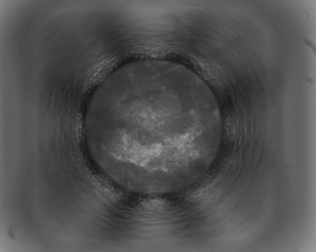 X0000091510594200709070955