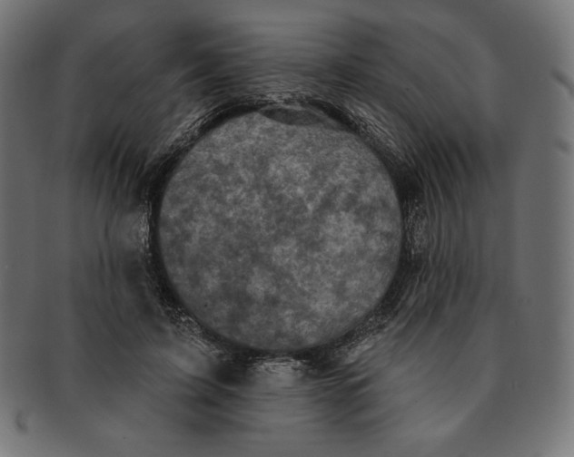 X0000091510595200709070955