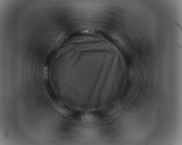 X0000091510598200709070955