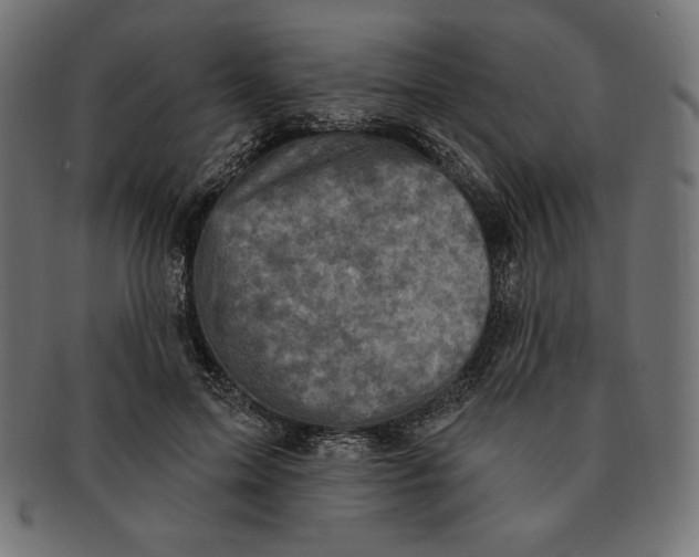 X0000091510599200709070955