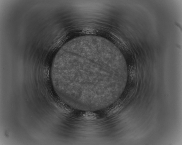 X0000091510603200709070955