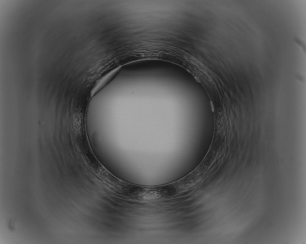 X0000091510604200709070955