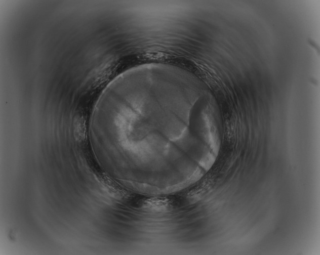 X0000091510606200709070955