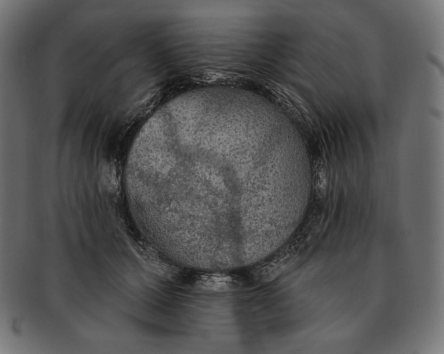 X0000091510607200709070955