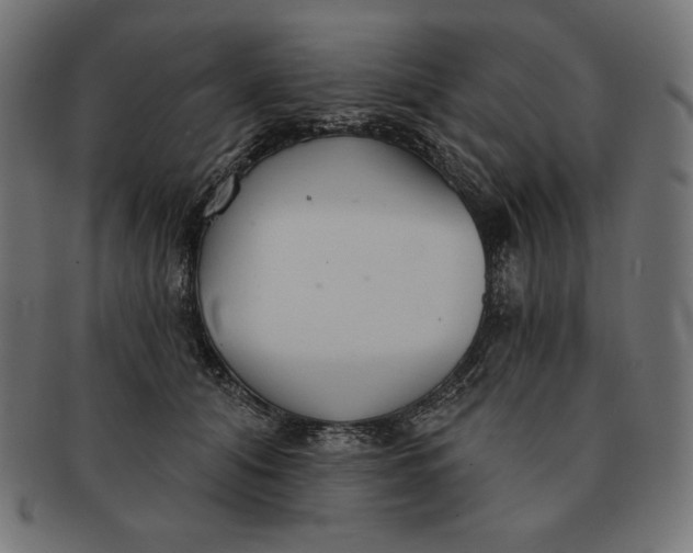 X0000091510608200709070955