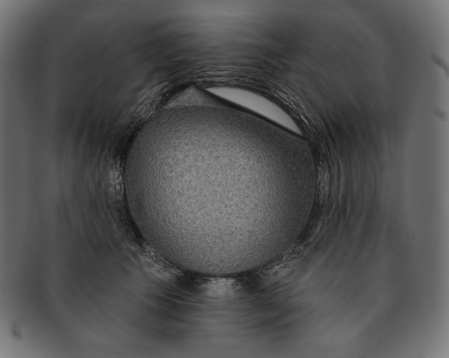 X0000091510609200709070955