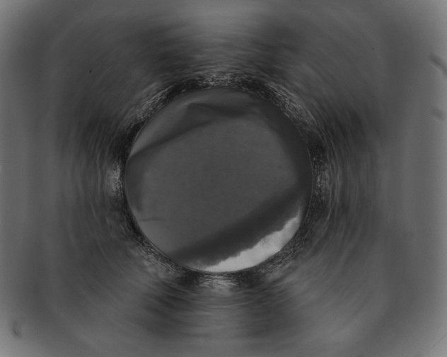 X0000091510610200709070955