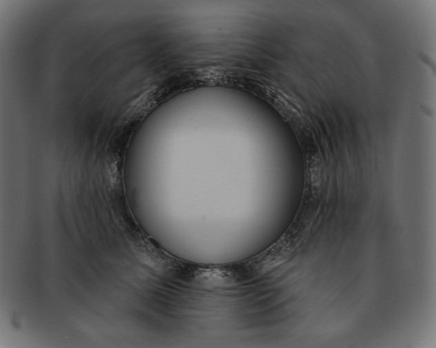 X0000091510611200709070955