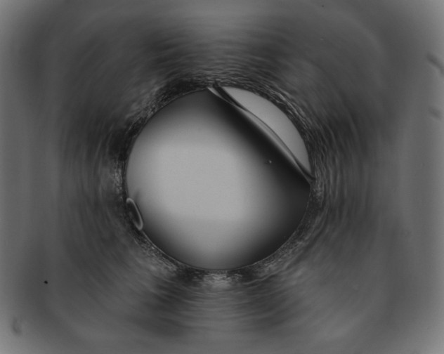 X0000091510613200709070955