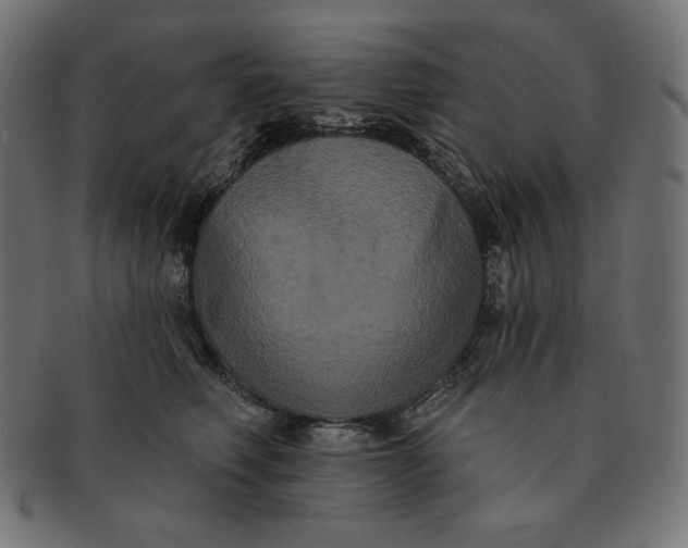 X0000091510614200709070955