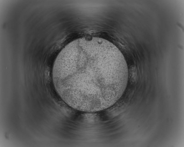 X0000091510615200709070955