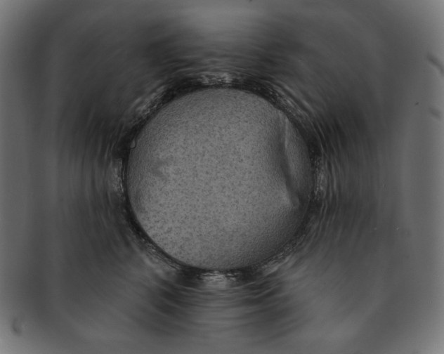 X0000091510616200709070955