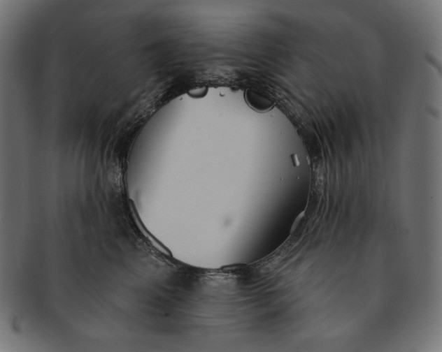 X0000091510617200709070955