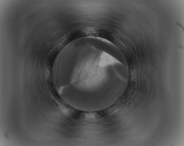 X0000091510618200709070955