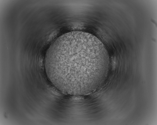 X0000091510619200709070955