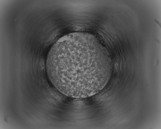 X0000091510620200709070955