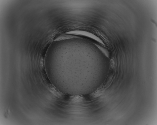 X0000091510621200709070955