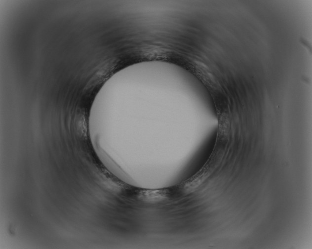 X0000091510622200709070955