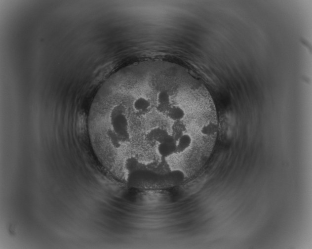 X0000091510623200709070955